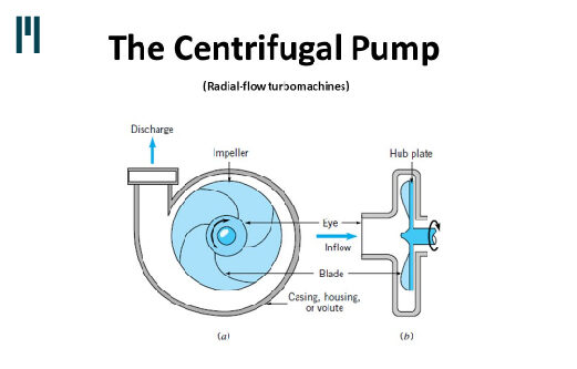 Centrifugal Pumps